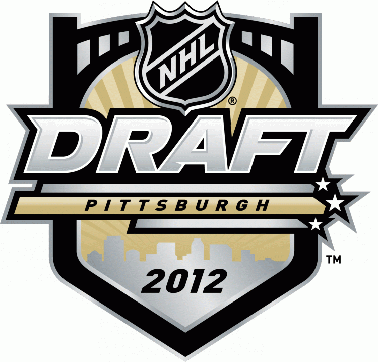 NHL Draft 2012 Primary Logo DIY iron on transfer (heat transfer)